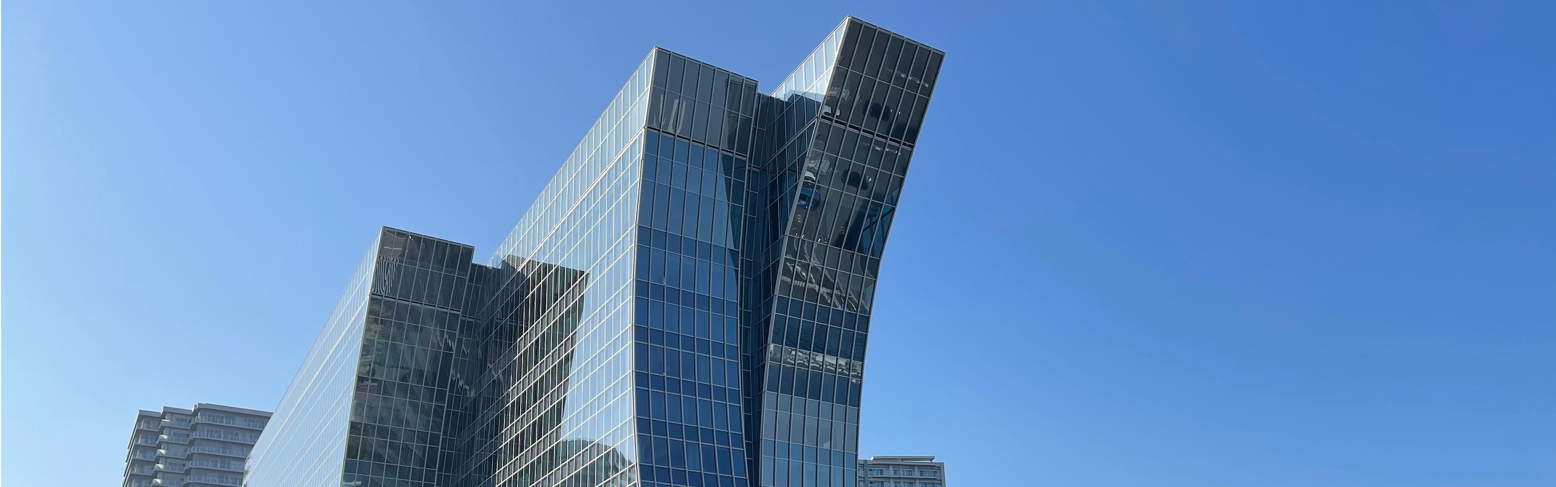 採用情報